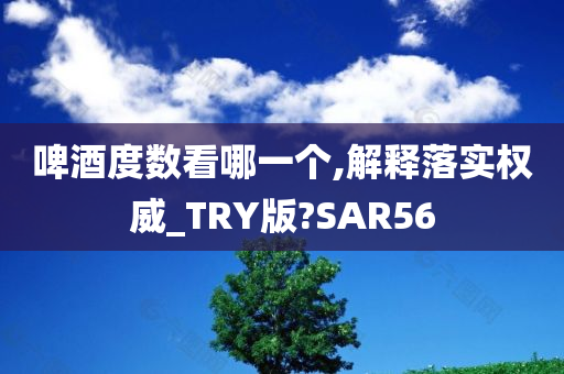 啤酒度数看哪一个,解释落实权威_TRY版?SAR56