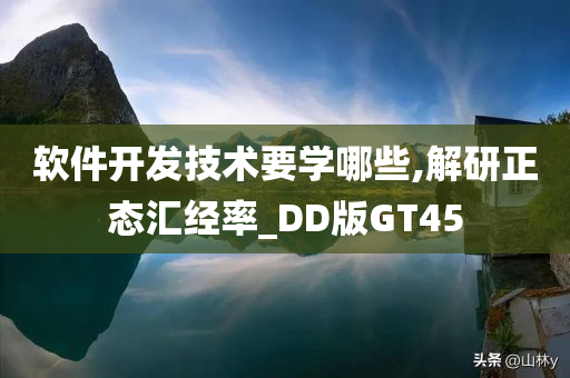 软件开发技术要学哪些,解研正态汇经率_DD版GT45