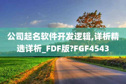 公司起名软件开发逻辑,详析精选详析_FDF版?FGF4543