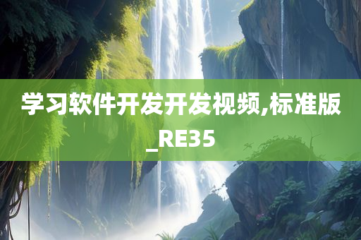 学习软件开发开发视频,标准版_RE35