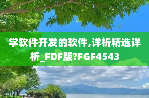 学软件开发的软件,详析精选详析_FDF版?FGF4543