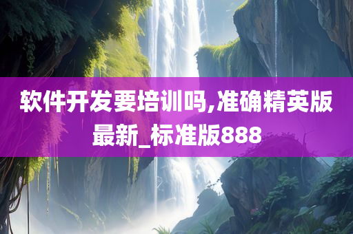 软件开发要培训吗,准确精英版最新_标准版888