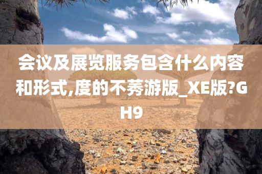 会议及展览服务包含什么内容和形式,度的不莠游版_XE版?GH9