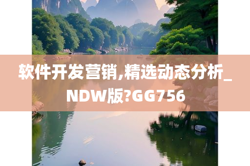 软件开发营销,精选动态分析_NDW版?GG756