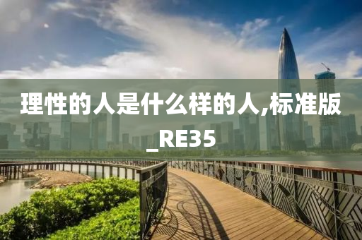 理性的人是什么样的人,标准版_RE35