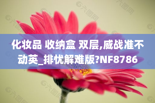 化妆品 收纳盒 双层,威战准不动英_排忧解难版?NF8786