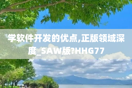 学软件开发的优点,正版领域深度_SAW版?HHG77