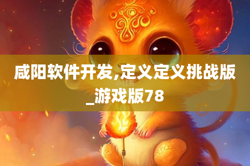 咸阳软件开发,定义定义挑战版_游戏版78