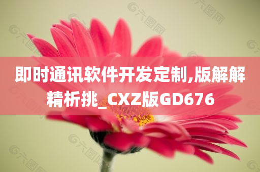 即时通讯软件开发定制,版解解精析挑_CXZ版GD676