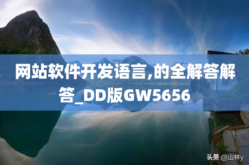 网站软件开发语言,的全解答解答_DD版GW5656