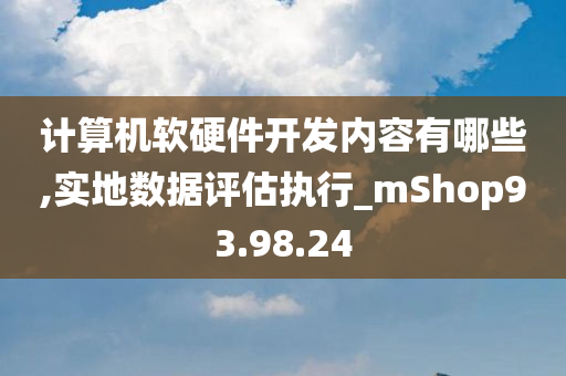 计算机软硬件开发内容有哪些,实地数据评估执行_mShop93.98.24