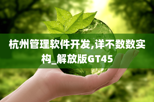 杭州管理软件开发,详不数数实构_解放版GT45