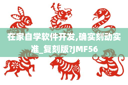 在家自学软件开发,确实刻动实准_复刻版?JMF56