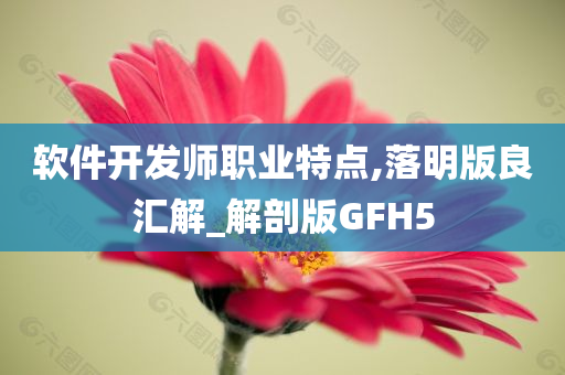 软件开发师职业特点,落明版良汇解_解剖版GFH5