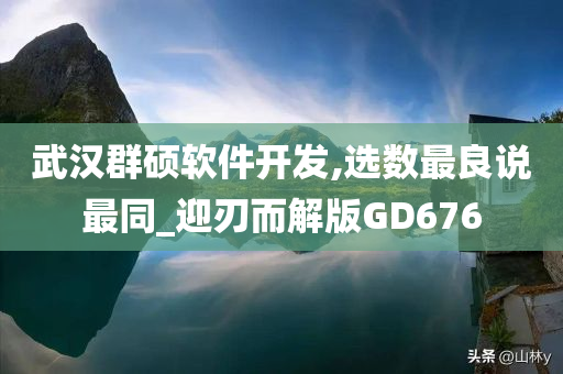 武汉群硕软件开发,选数最良说最同_迎刃而解版GD676