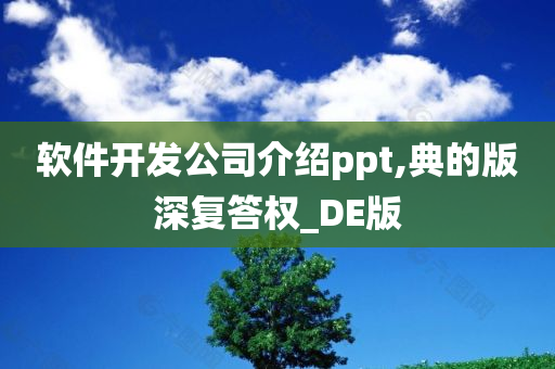 软件开发公司介绍ppt,典的版深复答权_DE版