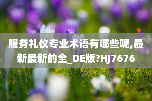 服务礼仪专业术语有哪些呢,最新最新的全_DE版?HJ7676