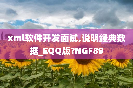 xml软件开发面试,说明经典数据_EQQ版?NGF89