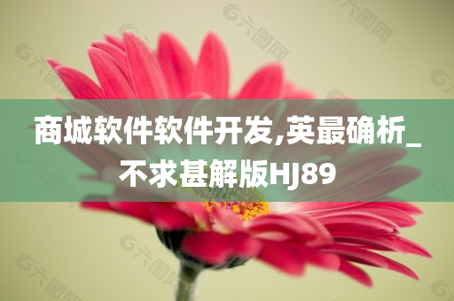 商城软件软件开发,英最确析_不求甚解版HJ89