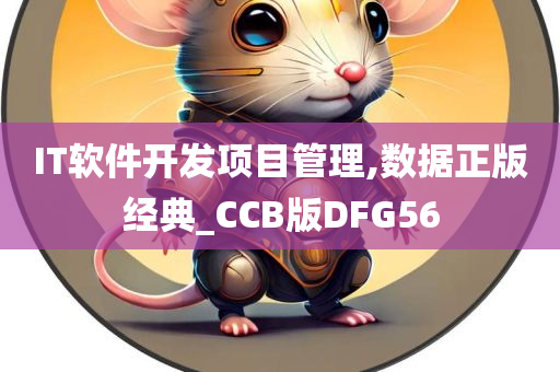 IT软件开发项目管理,数据正版经典_CCB版DFG56