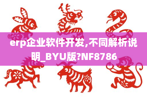 erp企业软件开发,不同解析说明_BYU版?NF8786