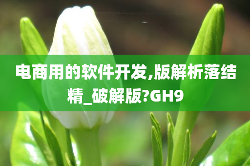 电商用的软件开发,版解析落结精_破解版?GH9