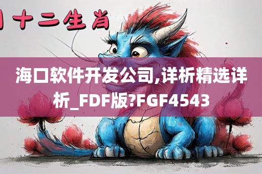 海口软件开发公司,详析精选详析_FDF版?FGF4543