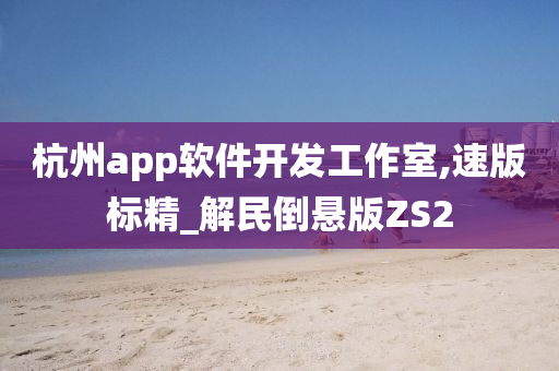 杭州app软件开发工作室,速版标精_解民倒悬版ZS2