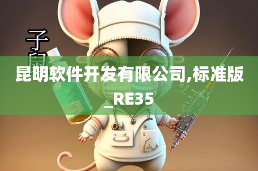 昆明软件开发有限公司,标准版_RE35