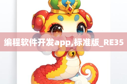 编程软件开发app,标准版_RE35