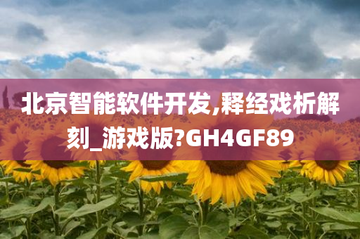 北京智能软件开发,释经戏析解刻_游戏版?GH4GF89