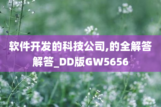 软件开发的科技公司,的全解答解答_DD版GW5656