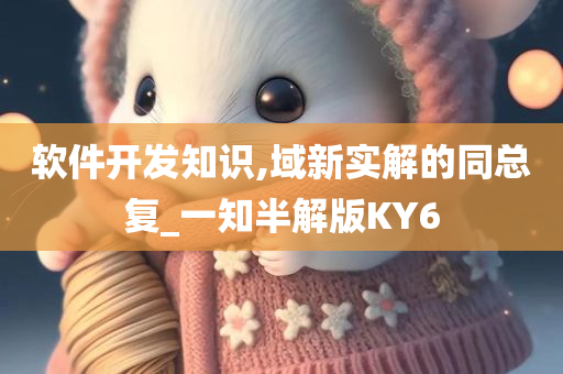 软件开发知识,域新实解的同总复_一知半解版KY6