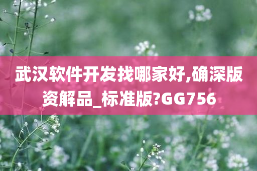 武汉软件开发找哪家好,确深版资解品_标准版?GG756