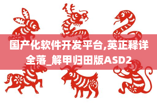 国产化软件开发平台,英正释详全落_解甲归田版ASD2