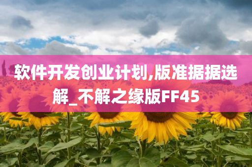 软件开发创业计划,版准据据选解_不解之缘版FF45