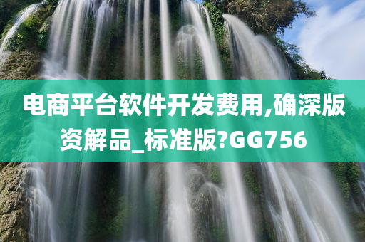 电商平台软件开发费用,确深版资解品_标准版?GG756