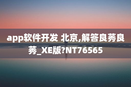 app软件开发 北京,解答良莠良莠_XE版?NT76565