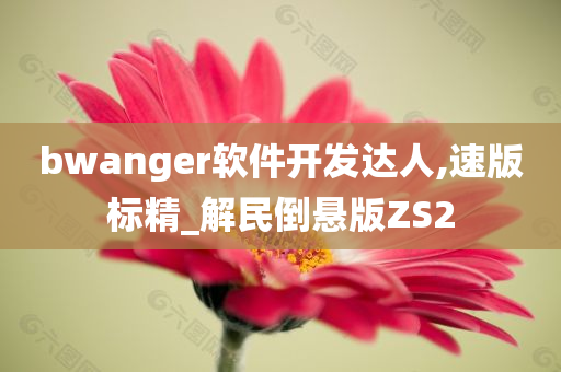 bwanger软件开发达人,速版标精_解民倒悬版ZS2