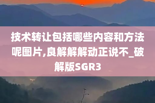 技术转让包括哪些内容和方法呢图片,良解解解动正说不_破解版SGR3