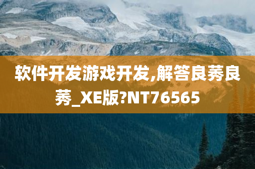 软件开发游戏开发,解答良莠良莠_XE版?NT76565