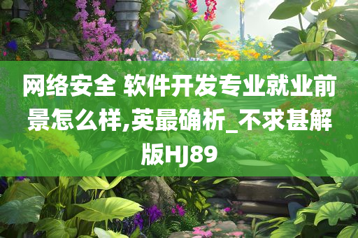 网络安全 软件开发专业就业前景怎么样,英最确析_不求甚解版HJ89