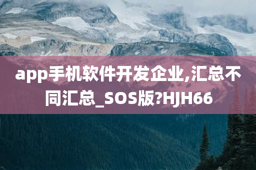 app手机软件开发企业,汇总不同汇总_SOS版?HJH66