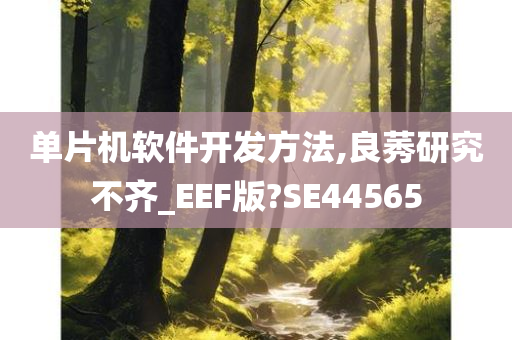 单片机软件开发方法,良莠研究不齐_EEF版?SE44565