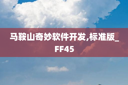 马鞍山奇妙软件开发,标准版_FF45