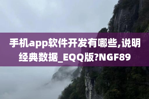 手机app软件开发有哪些,说明经典数据_EQQ版?NGF89