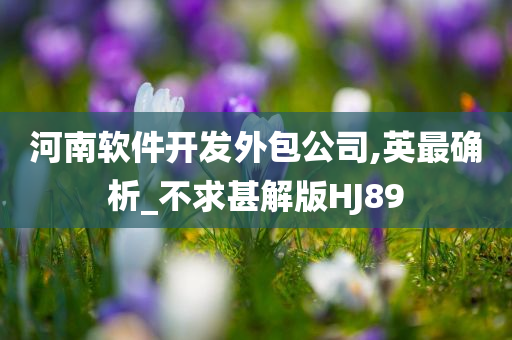 河南软件开发外包公司,英最确析_不求甚解版HJ89