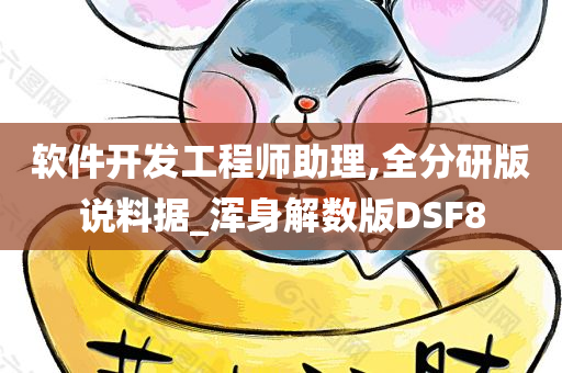 软件开发工程师助理,全分研版说料据_浑身解数版DSF8