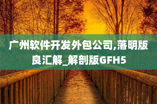 广州软件开发外包公司,落明版良汇解_解剖版GFH5