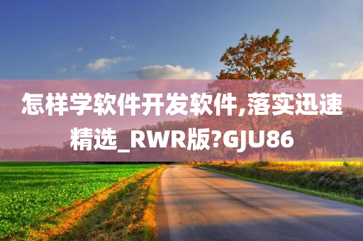 怎样学软件开发软件,落实迅速精选_RWR版?GJU86